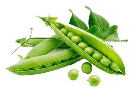 Green Beans Peas Transparent Png