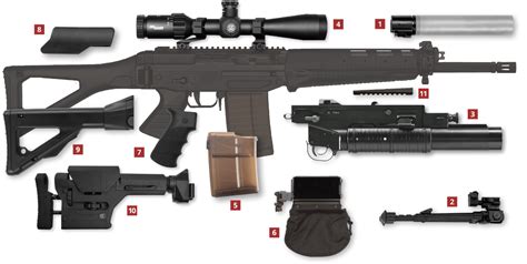 Sg 751 Precision Rifle