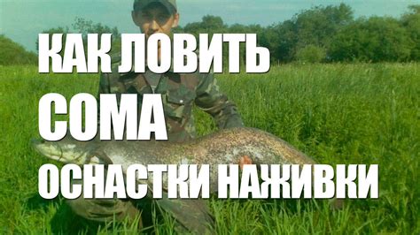 ЛОВЛЯ СОМА - ОСНАСТКИ, НАЖИВКИ на РЫБУ СОМ - YouTube