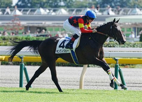 ＜東京5r新馬戦＞レースを制したキングノジョー（撮影・郡司 修） ― スポニチ Sponichi Annex ギャンブル