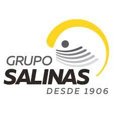 Grupo Salinas, a growing conglomerate that caters to the masses while ...