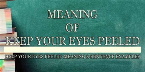 Keep Your Eyes Peeled Meaning Sentence Examples