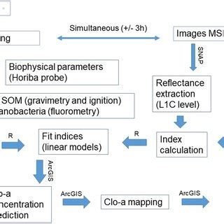 Spatial And Temporal Variation Of Estimated Chlorophyll A Concentration