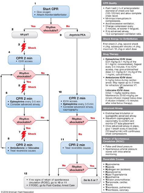 Acls Cpr Algorithm