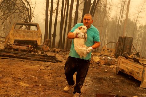 El Fuego No Cede Los Incendios Forestales En Chile Imágenes