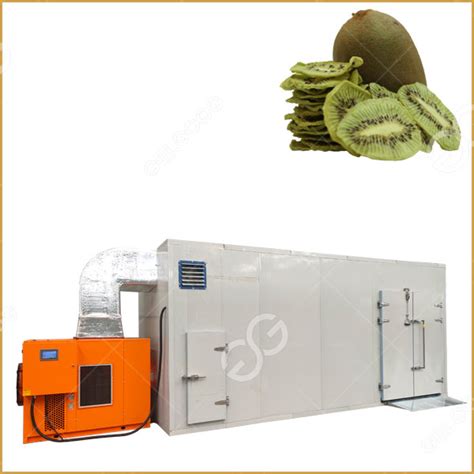 Energy Saving Kiwi Fruit Drying Machine Fruit Heat Pump Dryer