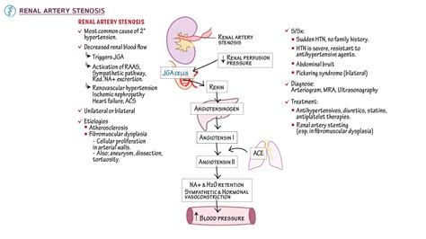 Pathology: Renal Artery Stenosis | Draw It to Know It