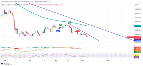 Bitcoin Price Analysis For 7 September 2022 Latest News And Insights