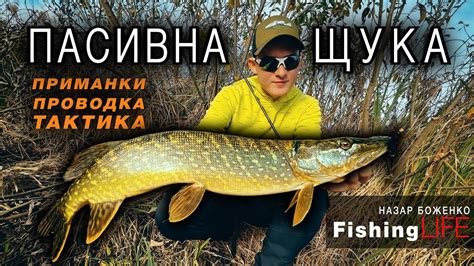 НАЙКРАЩА ПРОВОДКА Для ПАСИВНОЇ ЩУКИ - ЯК Ловити Щуку КОЛИ Не Клює ...