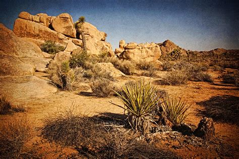 Old Western Landscape Photograph by Theo O'Connor