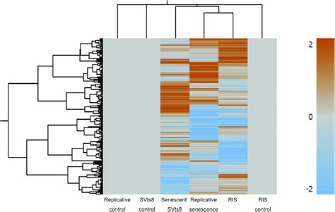 Heatmap Of Gene Expression In Three Types Of Senescent Cells Gene