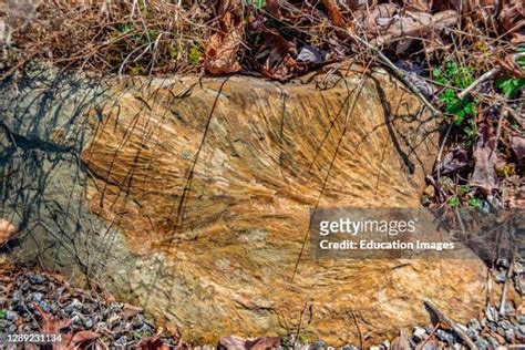 Mississippian (Geologic Period) Photos and Premium High Res Pictures ...