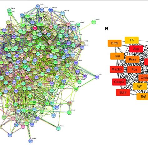 Ppi Network Of The Potential Target Genes And Hub Genes Screen A