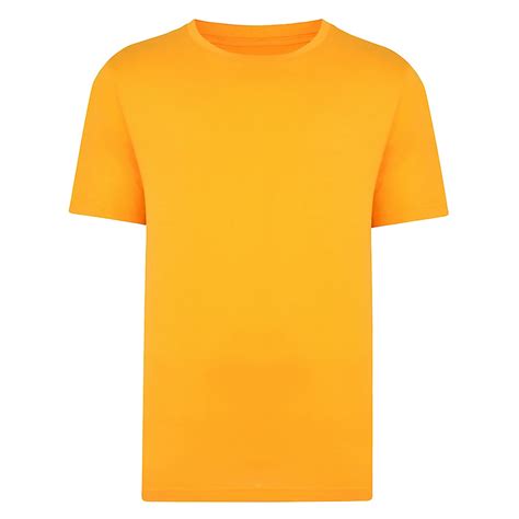 Bigdude Plain Crew Neck T Shirt Orange Tall Bigdude