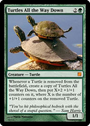 Turtles All The Way Down Rcustommagic