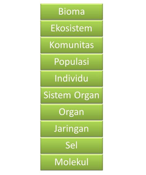 Struktur Organisasi Kehidupan Makhluk Hidup Dari Terkecil Hingga