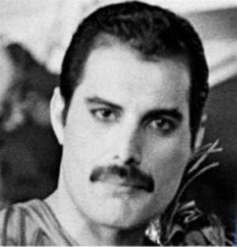 Pin By Darlene Sharts On Freddie Mercury The Beautiful Freddie