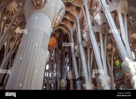 Detail Of Vault Interior Of Basilica Sagrada Familia Nave Barcelona