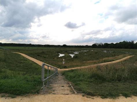 Peel Park And Kersal Wetlands Tali Walks