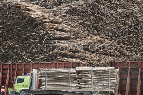 Kinerja Industri Kertas Tumbuh Persen Antara Foto