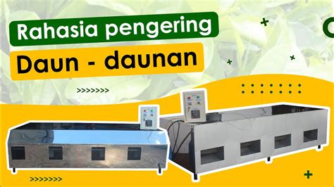 Pengering Murah Mesin Pengering Daun Bunga Jahe Kunyit Padi Jagung