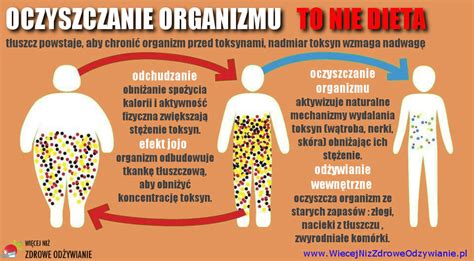 4 efekty mojego oczyszczania organizmu Zdrowe Odżywianie