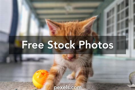 Eureka Kansas Photos Download The Best Free Eureka Kansas Stock Photos