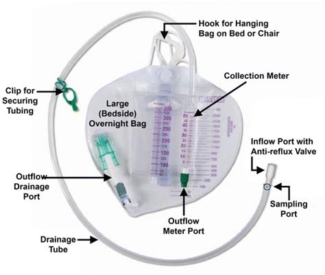 Urinary Drainage Bags Abdominal Key