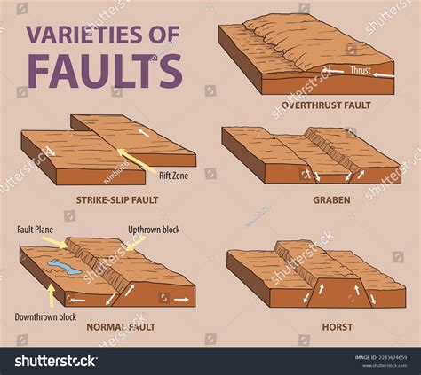 Varieties Faults Diagram Vector Stock Vector Royalty Free