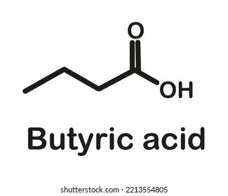 Chemical Structure Butyric Acid Vector Illustration Stock Vector