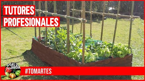 Cómo hacer tutores para plantas de tomate Nucleo Jardin