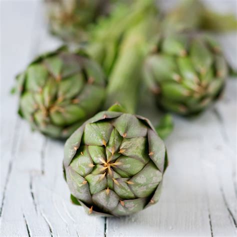 Artichoke Green Globe