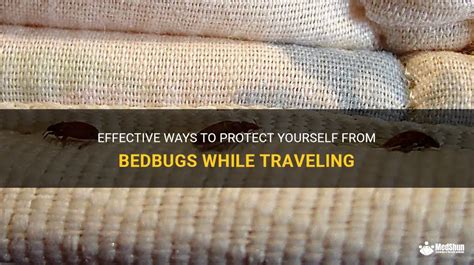 Effective Ways To Protect Yourself From Bedbugs While Traveling MedShun