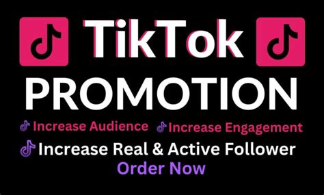 Promote Tik Tok Ads Tik Tok Video Tiktok Promotion By Lucitam Fiverr