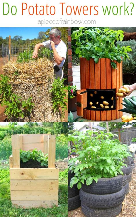 Do Potato Towers Work Read Before You Try A Piece Of Rainbow