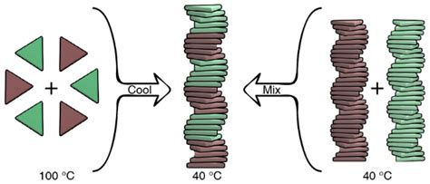 Supramolecular Block Copolymers Under Thermodynamic Control Journal