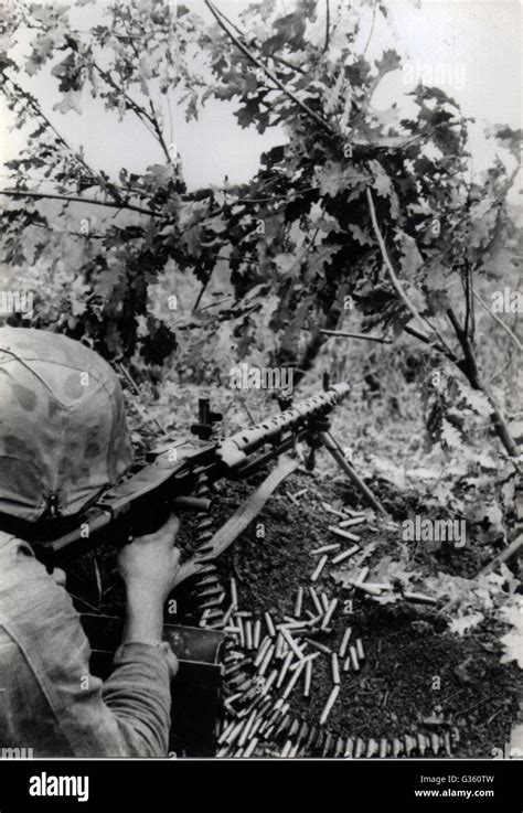 Waffen Ss Sur Le Front Russe Banque De Photographies Et Dimages