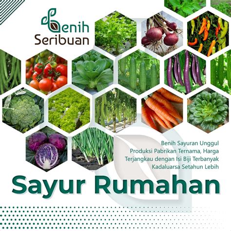 Jual Bibit Sayuran Benih Sayur Paket Lengkap Tanaman Hidroponik