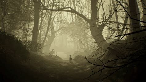 Wallpaper Blair Witch Playstation 4 Video Games 1920x1080 Omxian