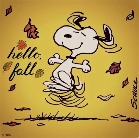 Hello Fall 😁🍃🍂🍁 Snoopy Love Charlie Brown And Snoopy Snoopy And