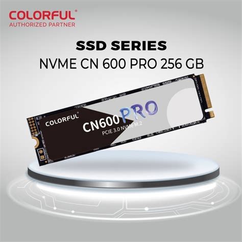 Jual NVMe Colorful CN600 PRO 256GB Garansi 3 Tahun M 2 3D Nand SSD M2