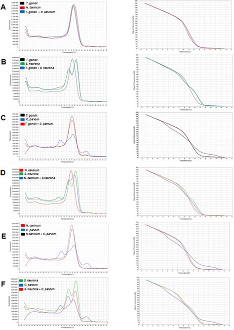 Derivative Melting Curve Left And Normalized Melting Curve Right Of Download High