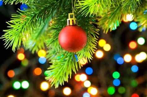 Christmas Baubles Hanging On Christmas Tree Stock Image Image Of Stockphoto Decorated 21534965