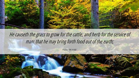 Psalms Kjv Desktop Wallpaper He Causeth The Grass To Grow For