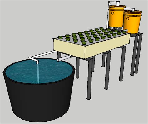 Learn To Aquaponic How To Build Aquaponics Floating Raft System