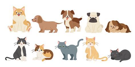 Cute Cartoon Dogs And Cats Stock Illustration Download Image Now Istock