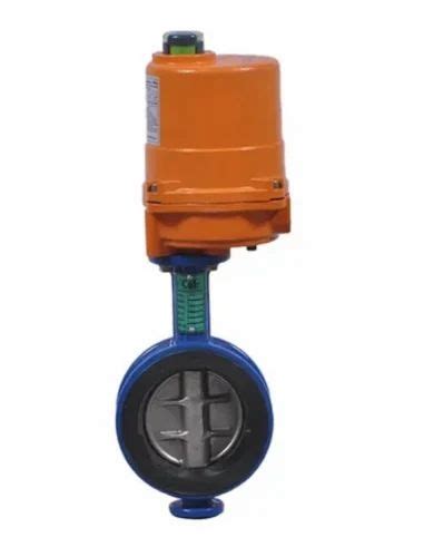 Rubber Lined Wafer Type Butterfly Valve At Rs Wafer Butterfly