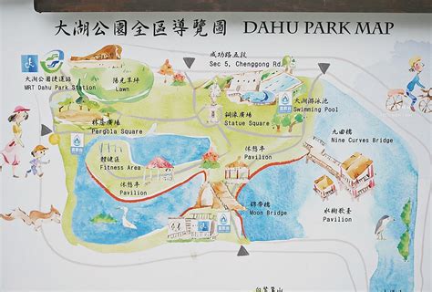 台北落羽松景點～大湖公園落羽松變色了！坐捷運就可到 小蚊子愛飛飛