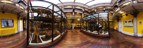 Natural History Museum 360 Panorama | 360Cities