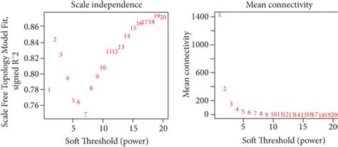 Construction Of A Weighted Gene Coexpression Network Analysis Wgcna